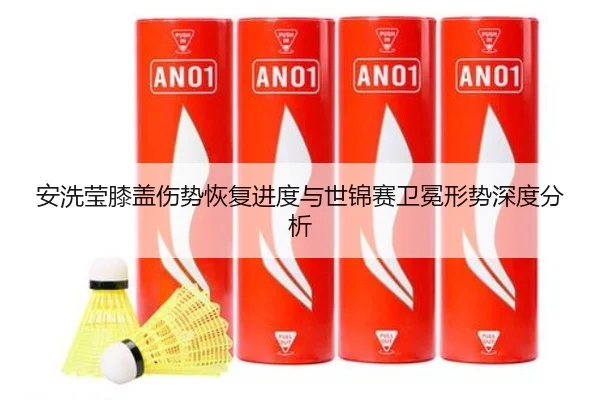 安洗莹膝盖伤势恢复进度与世锦赛卫冕形势深度分析