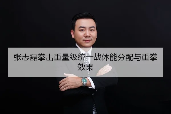 张志磊拳击重量级统一战体能分配与重拳效果