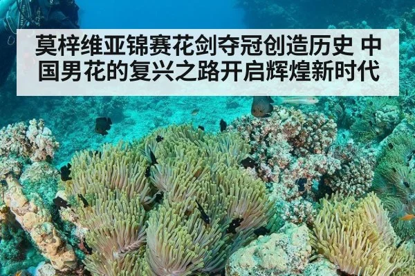 莫梓维亚锦赛花剑夺冠创造历史 中国男花的复兴之路开启辉煌新时代